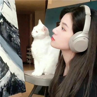 腌黄瓜先生第一季